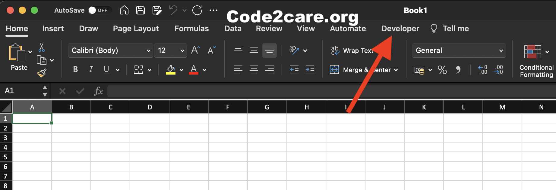 Developers tab visible on Excel for Mac